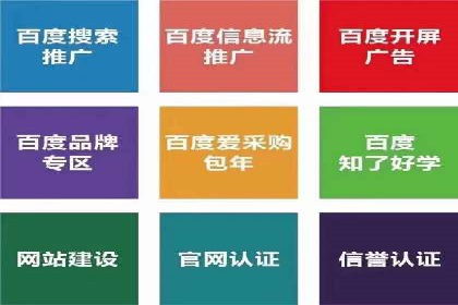 SEM推广案例：品牌知名度提升